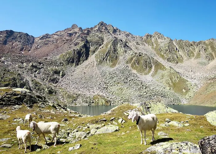 Διαμέρισμα Rosi By Interhome Ζόλντεν